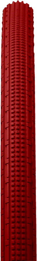 Panaracer GravelKing SK Tire