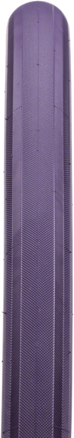 Panaracer GravelKing Tire