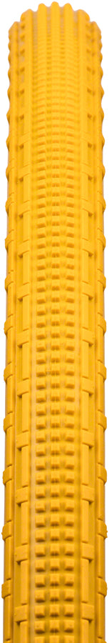 Panaracer GravelKing SK Tire