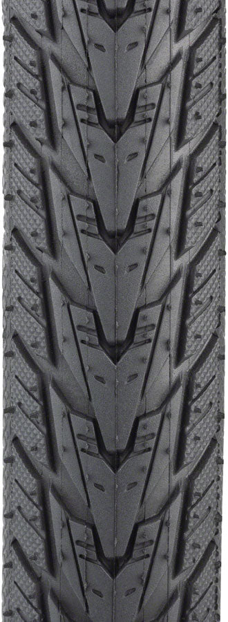 MSW Daily Driver Tire