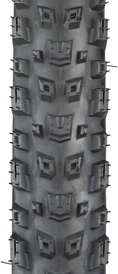 Teravail Warwick Tire