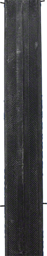 Michelin Lithion 2 Tire