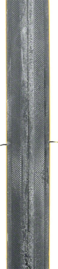 Michelin Lithion 2 Tire