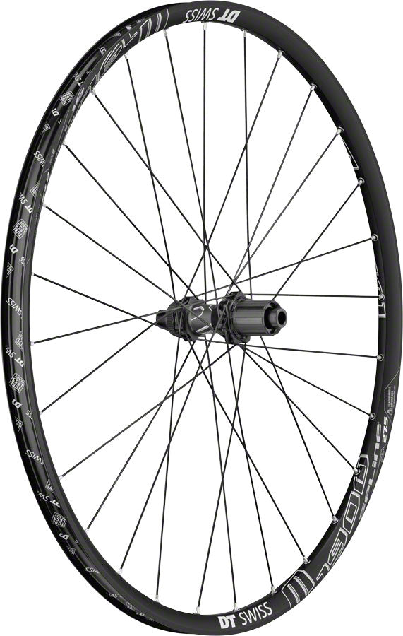 DT Swiss M1900 Spline Rear Wheel