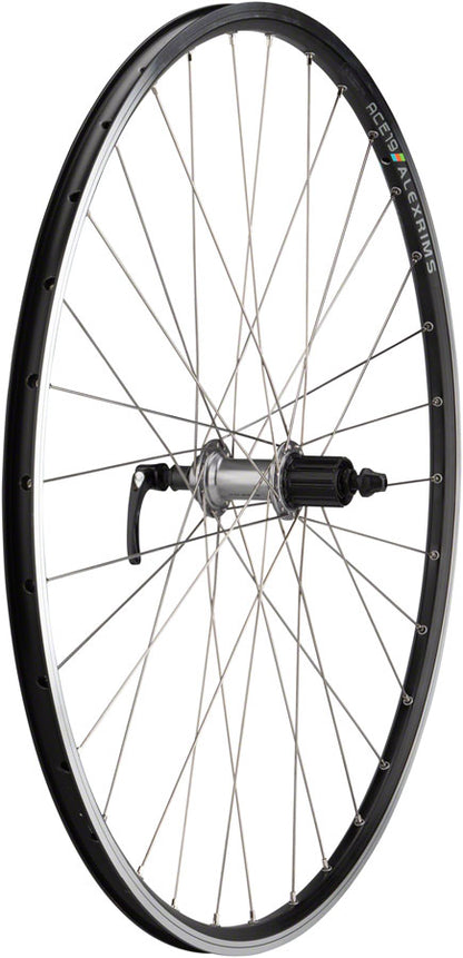 Quality Wheels Deore / ACE19 Rear Wheel