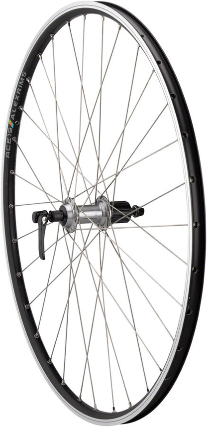 Quality Wheels Deore / ACE19 Rear Wheel