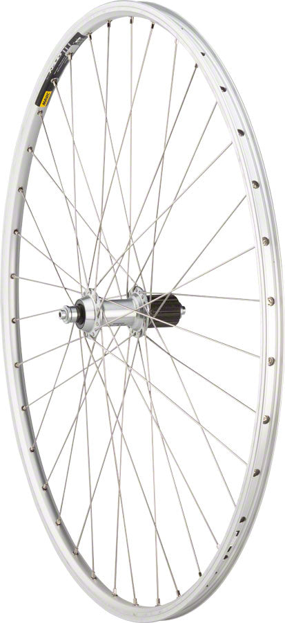 Quality Wheels 105 / Open Elite Rear Wheel