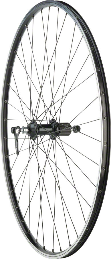 Quality Wheels 105 / Open Elite Rear Wheel