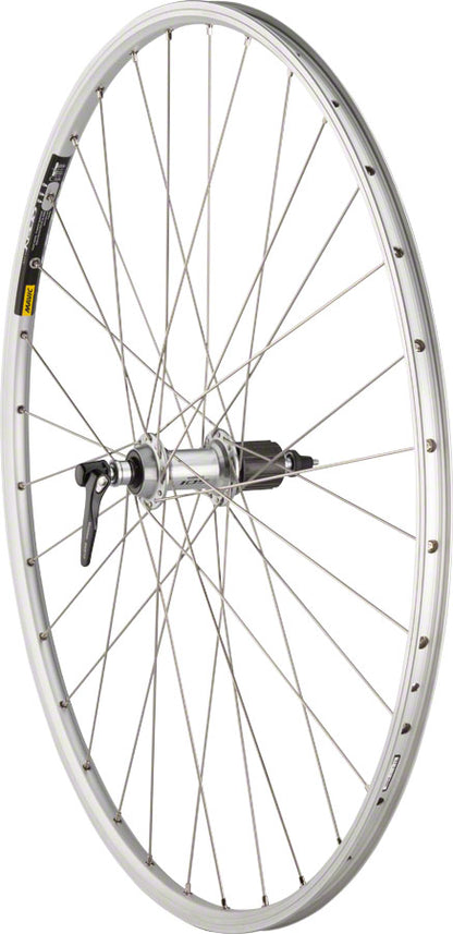 Quality Wheels 105 / Open Elite Rear Wheel