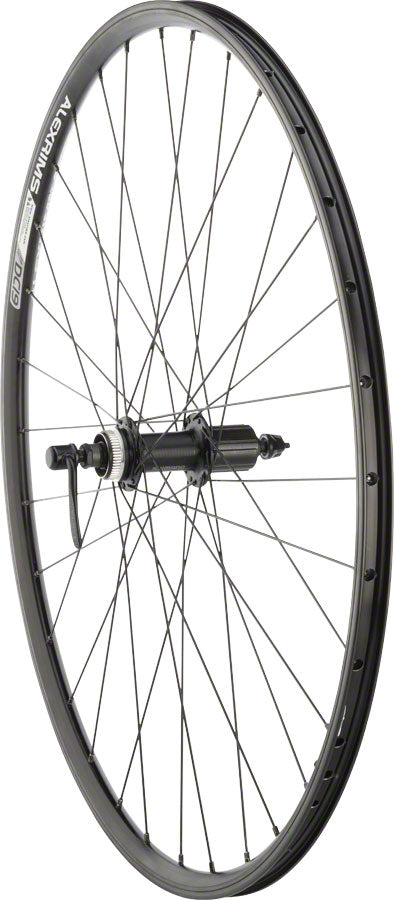 Quality Wheels Value Double Wall Series Rim+Disc Rear Wheel