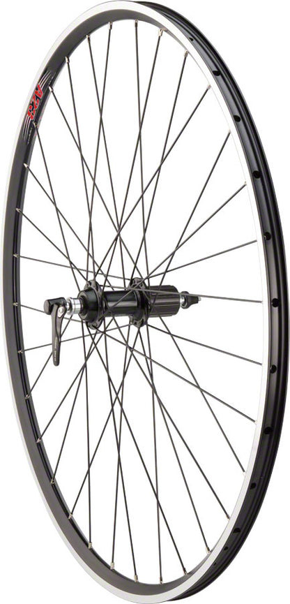 Quality Wheels 105 / A23 Rear Wheel