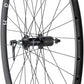 Quality Wheels 105 5800 / H+ Son Archetype Rear Wheel