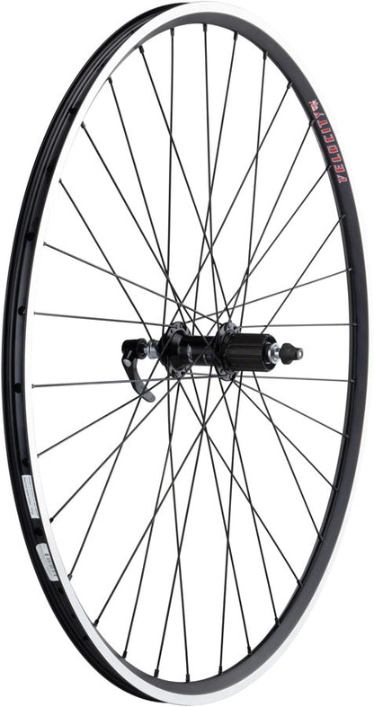 Quality Wheels 105 / A23 Rear Wheel