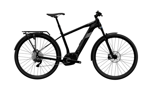 2021 Cannondale 29 M Tesoro Neo X 3