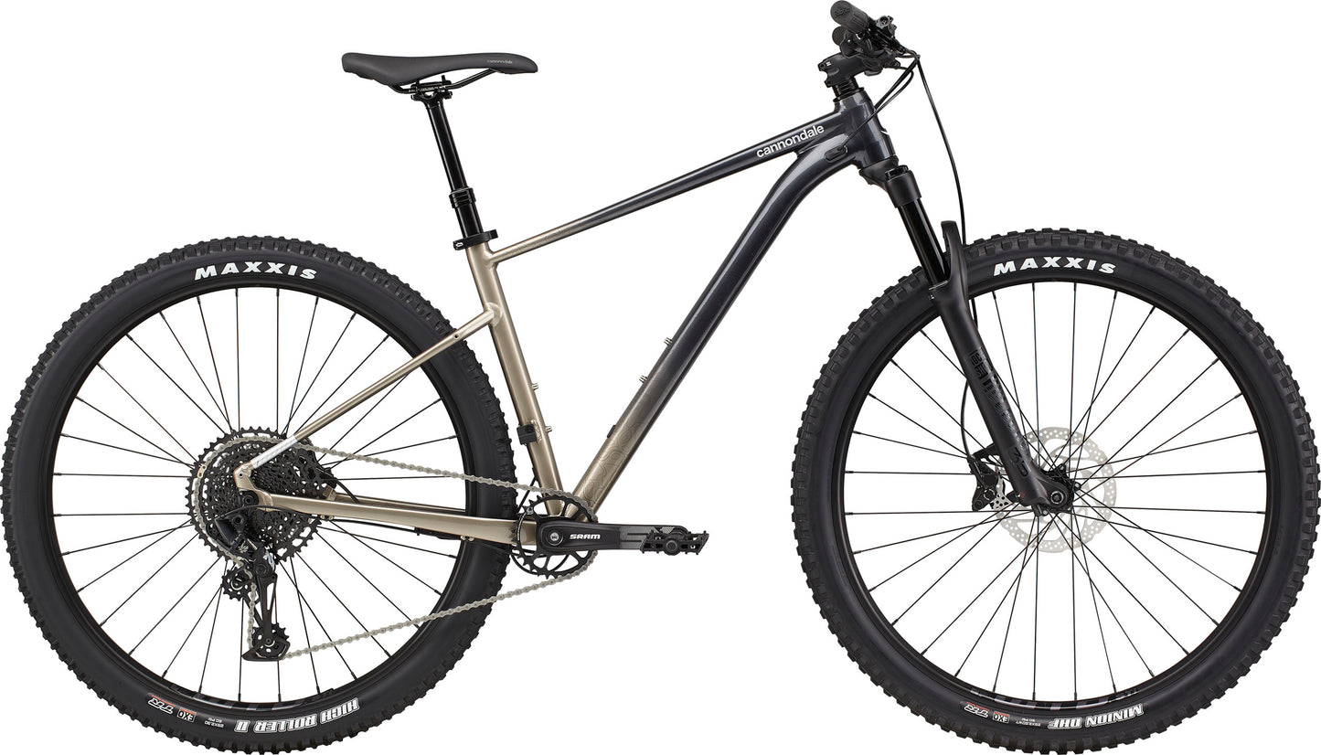 2021 Cannondale 29 M Trail SE 1