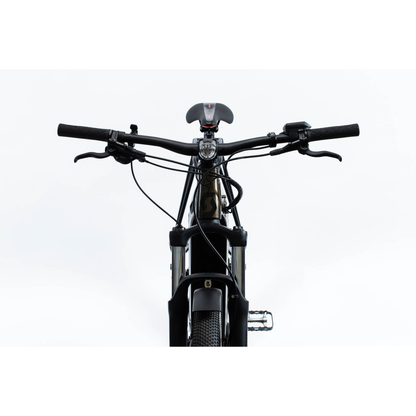 2019 Scott Bike Axis eRide 20 Lady US std.